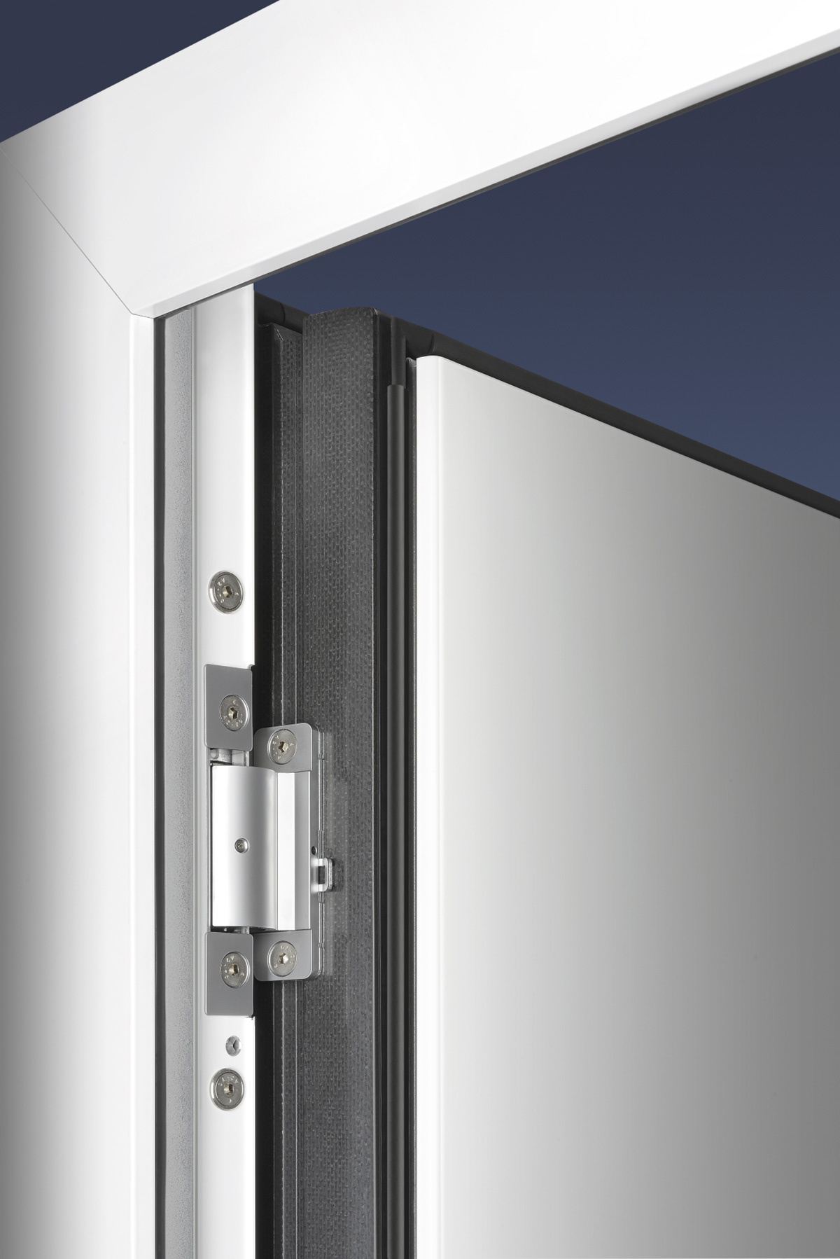 Türflügel und Band einer Haustür